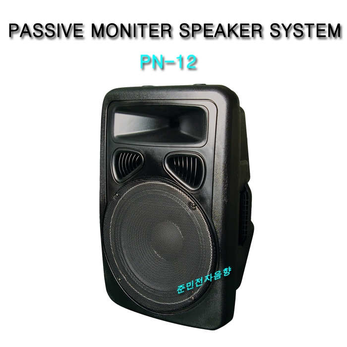 PN-12PASSIVE MONITER SPEAKER SYSTEM 12 인지 200 와트